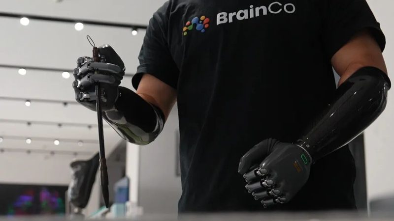 揭秘人工智能应用指南的作者之谜
